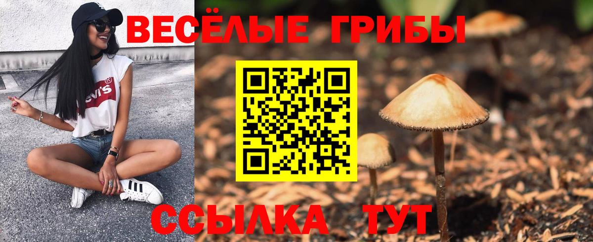 Псилоцибиновые грибы MAGIC MUSHROOMS  Псилоцибиновые грибы мухоморы  Вход с VPN  Павлово 